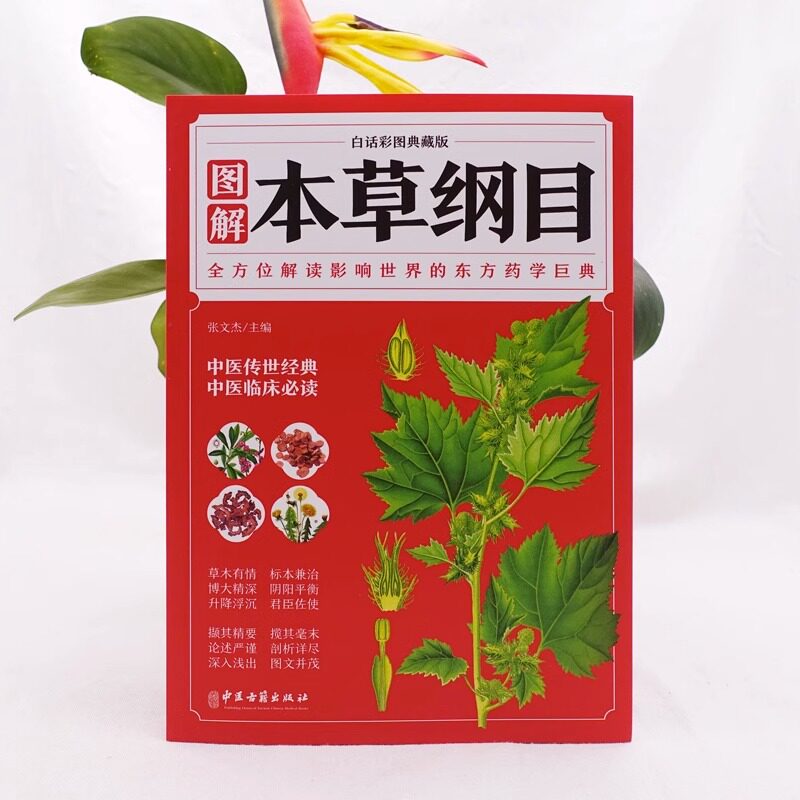 本草纲目 正版李时珍 全彩图解白话文典藏版 中医基础理论中医书籍大全经典医药大全养生中草药全图鉴倪海厦中医书籍全套原版