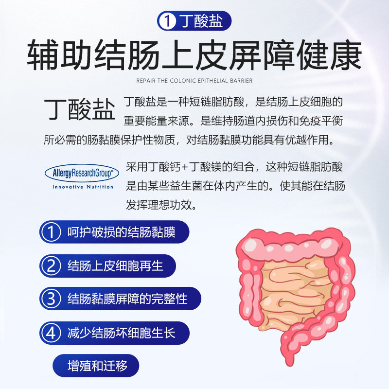 arg丁酸盐成人调理肠道益生菌 AllergyResearchGroup海外益生菌