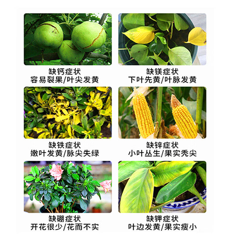 复合肥料通用型花卉绿植果树化肥农用种菜缓释肥氮磷钾颗粒有机肥