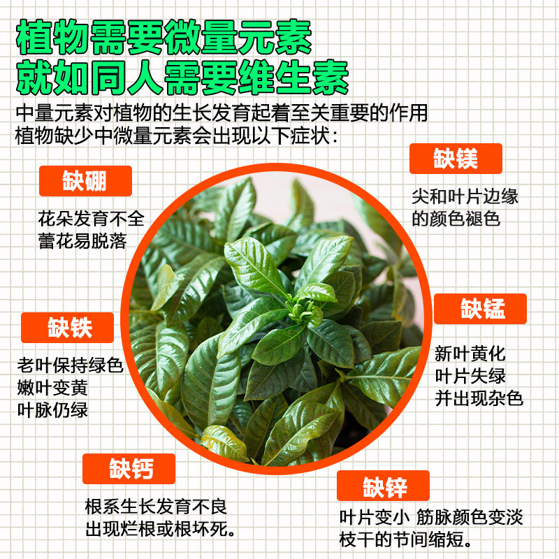 免稀释植物营养液通用型养花肥料家用花卉盆栽绿萝月季兰花专用,淘宝优惠券,粉丝福利购,淘宝优惠卷