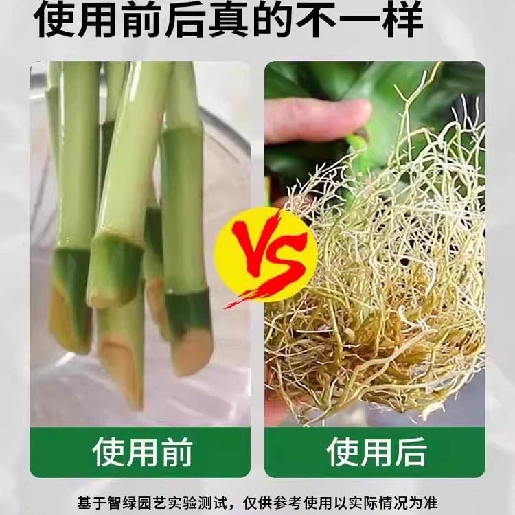快速生根粉植物通用型营养液果树木扦插移栽生根液种菜养花卉肥料,淘宝优惠券,粉丝福利购,淘宝优惠卷