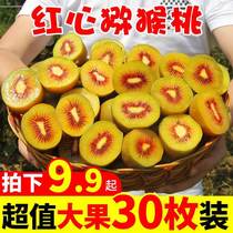 Fresh Sichuan Red Heart Exotic Fruits when Season Fruit Fragrant Walnut Big Fruits Now Remove Pregnant Woman Gold Chic Exotic Fruit Whole Boxes