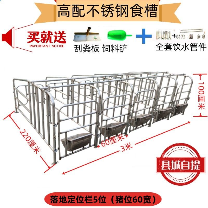 新款限位栏母猪定位栏带板母猪栏养猪栏位带漏粪板猪栏猪用定位栏 - 图0