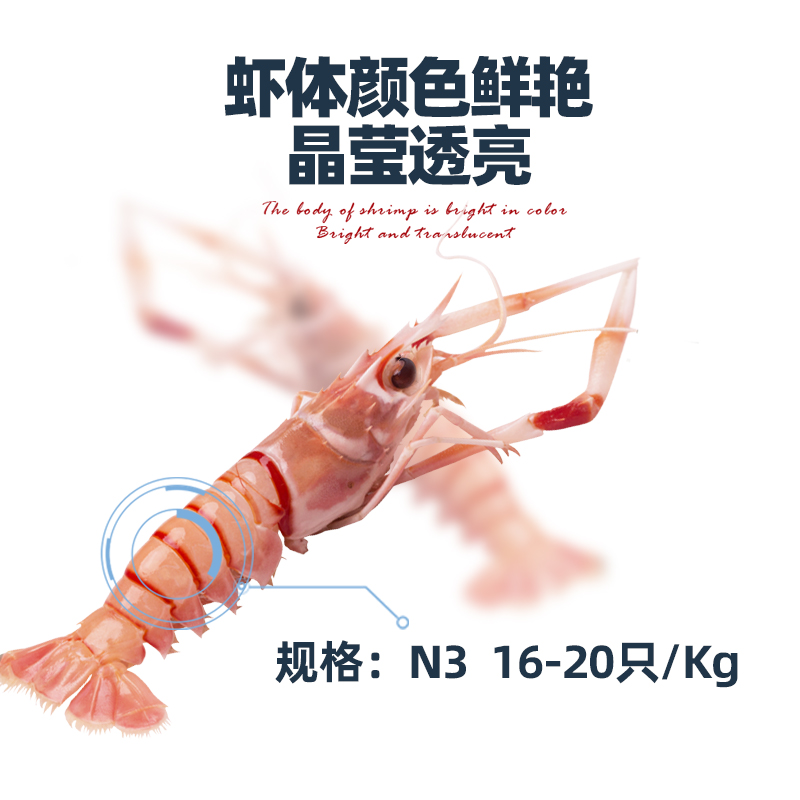 新西兰进口深海鳌虾刺身scampi斯干比南极特大小龙虾日料 1/2/3号 - 图1