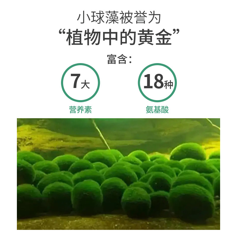 1蛋白核小球藻片食用绿藻螺旋藻 谷阅方药膳养生粉/羹/糊