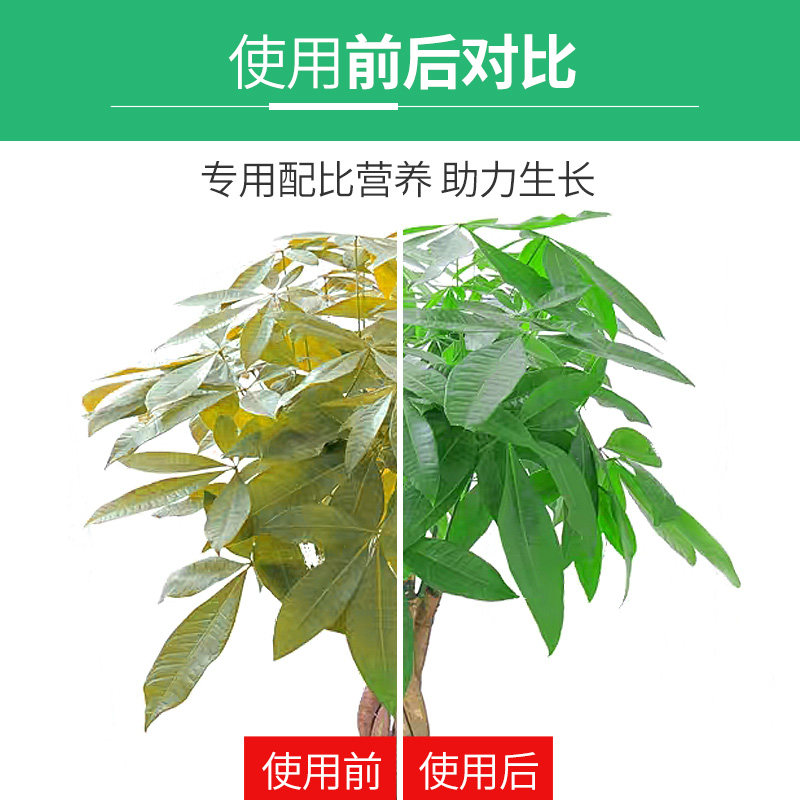 悠利发财树肥料专用肥家庭园艺浓缩植物营养液水培通用型黄叶烂根,淘宝优惠券,粉丝福利购,淘宝优惠卷