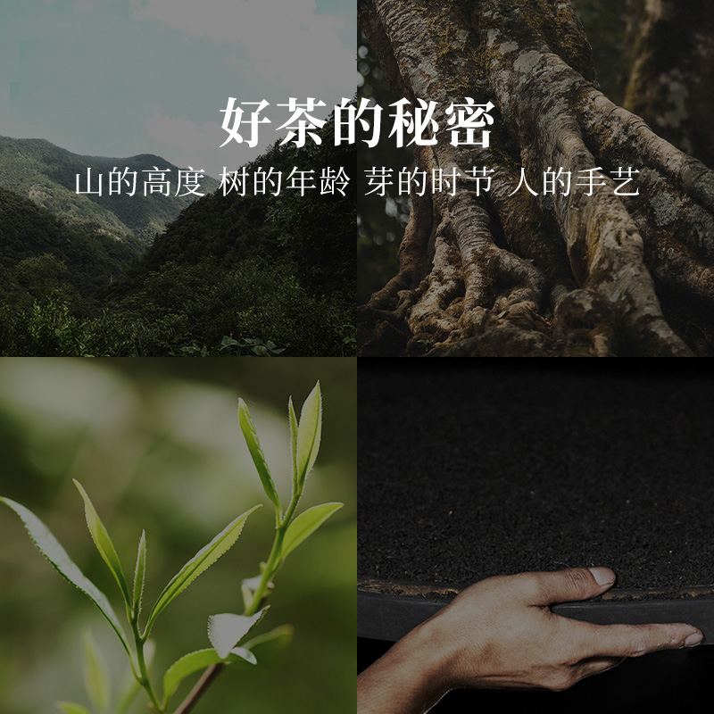 【新升级】一念草木中·寻茶中国6大茶类15口味原叶茶口粮茶礼盒