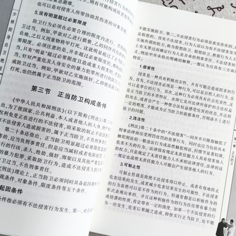 少林防身自卫绝技 强身健体攻防技能擒拿技法自卫制敌推荐书 - 图2