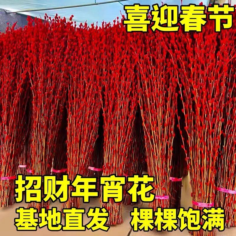 银柳真花鲜枝干花花束客厅摆件水培植物室内鲜花招财年宵花卉盆栽,淘宝优惠券,粉丝福利购,淘宝优惠卷