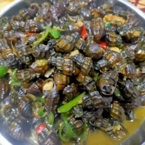 The Shunfeng Fresh Wild Mountain Hang spire with shell 5 catties sauteable stuffiness snail fresh and delicate and delicate Cantonese Northern alpine river fresh