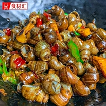 Three Piers Old Changsha Taste Shakes Ready-to-eat Hunan Special Produce Spiced Spicy Fields Snail Spicy Hotel Cold Dish when Cold Dish