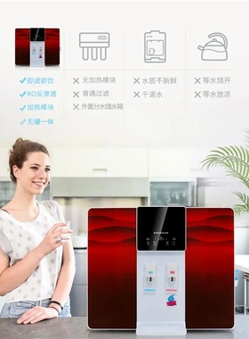 加热一体机净水器家用ro反渗透