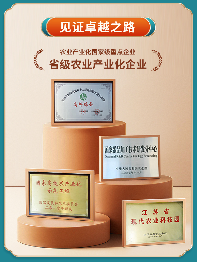 高邮咸鸭蛋老字号正宗流油整箱江苏省非遗65g*20枚扬州特产包邮