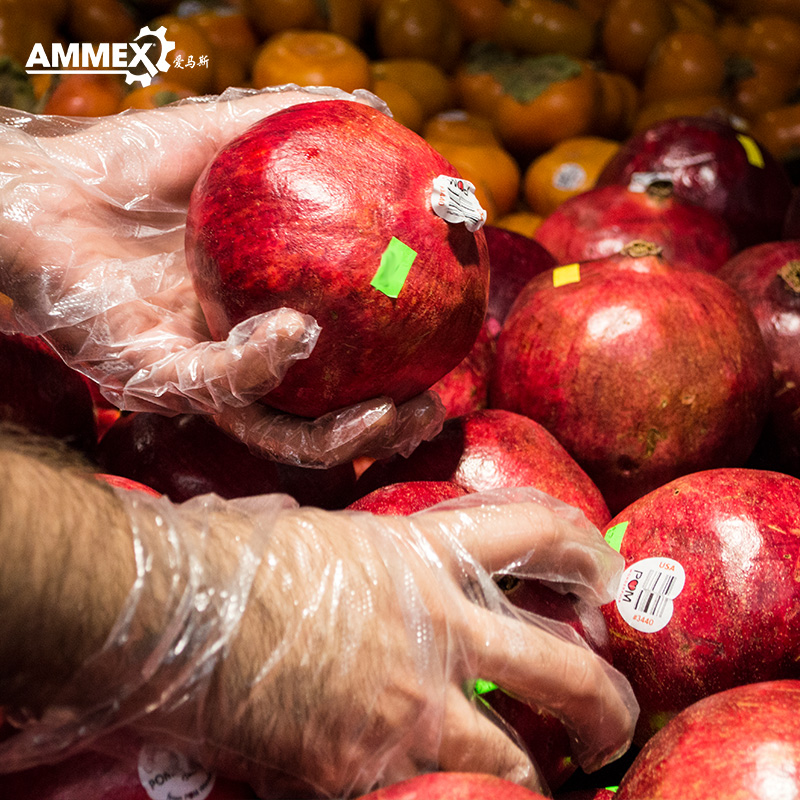 AMMEX爱马斯一次性PE手套食品级厨房专用透明防水耐油薄款手套 - 图3