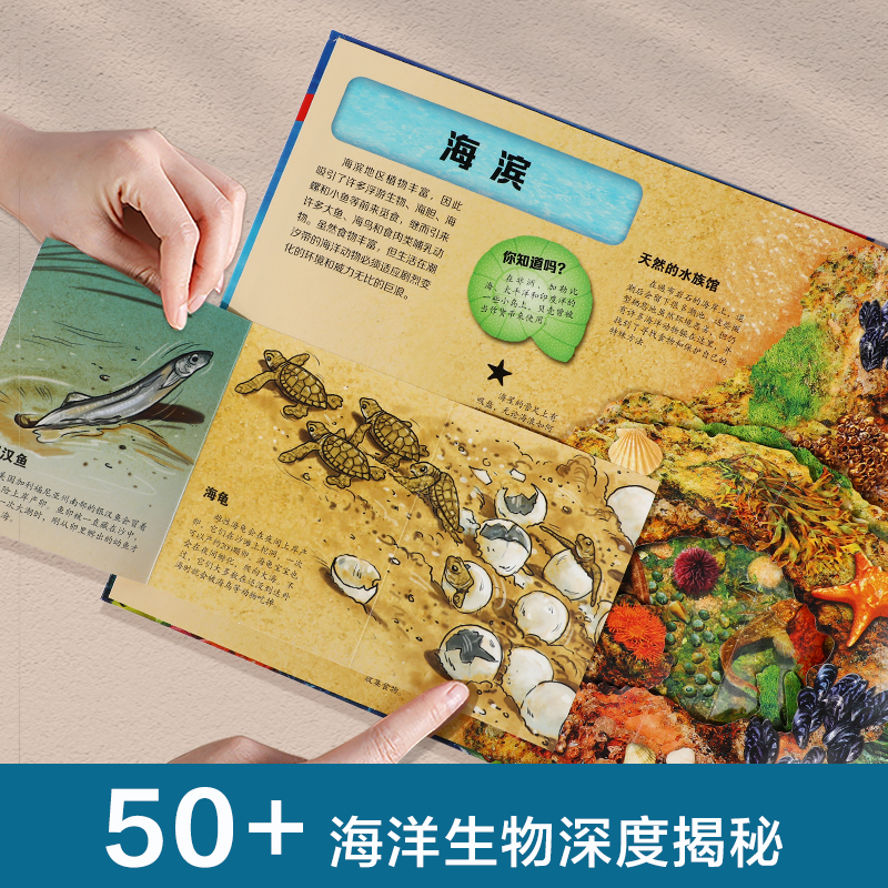 海洋科普立体书乐乐趣3-10岁揭秘海底动物生物立体百科全书海底动物翻翻立体百科绘本小学生课外科普读物机关书翻翻立体百科绘本 - 图1