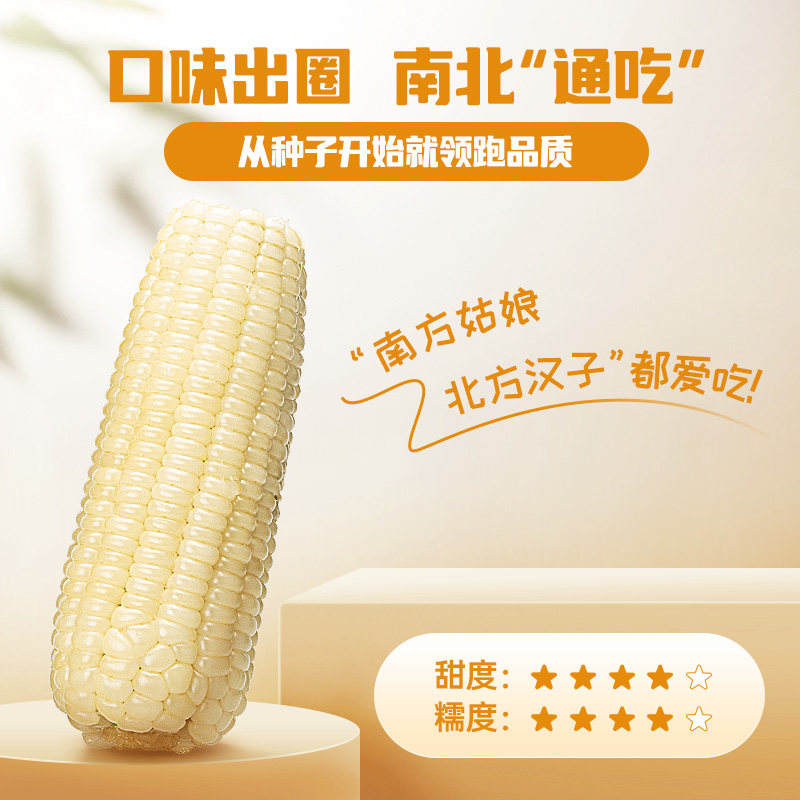 【4穗轻量装】北纬47度黄糯玉米白糯玉米真空装软糯香甜粗粮代餐