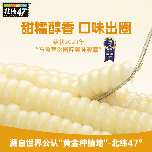 北纬47度新鲜采摘黄糯白糯鲜甜玉米东北软糯玉米真空装官方旗舰店 - 图0