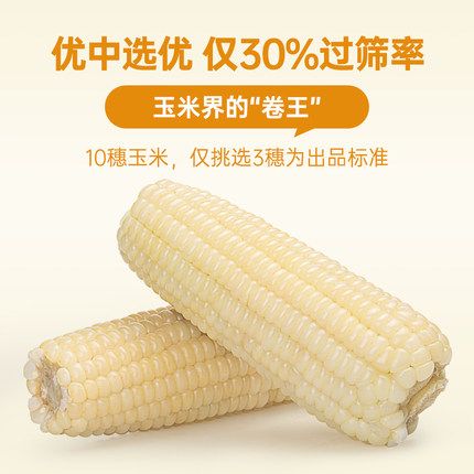 北纬47度新鲜采摘黄糯白糯鲜甜玉米东北软糯玉米真空装官方旗舰店