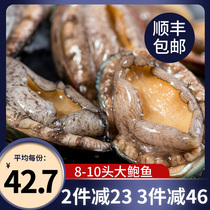Abalone live extra-large frozen large abalone live frozen fresh Bao seafood Aquatic heating ready-to-eat small abalone 8-10 head