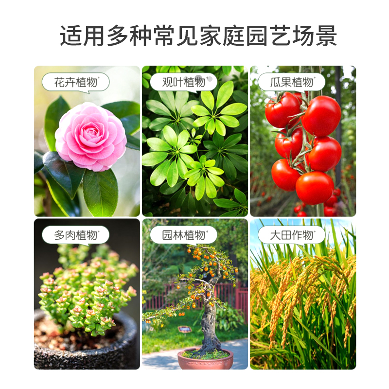 多菌灵杀菌剂多菌菌灵通用花药百菌淸杀菌多箘灵农药大全植物花卉 - 图1