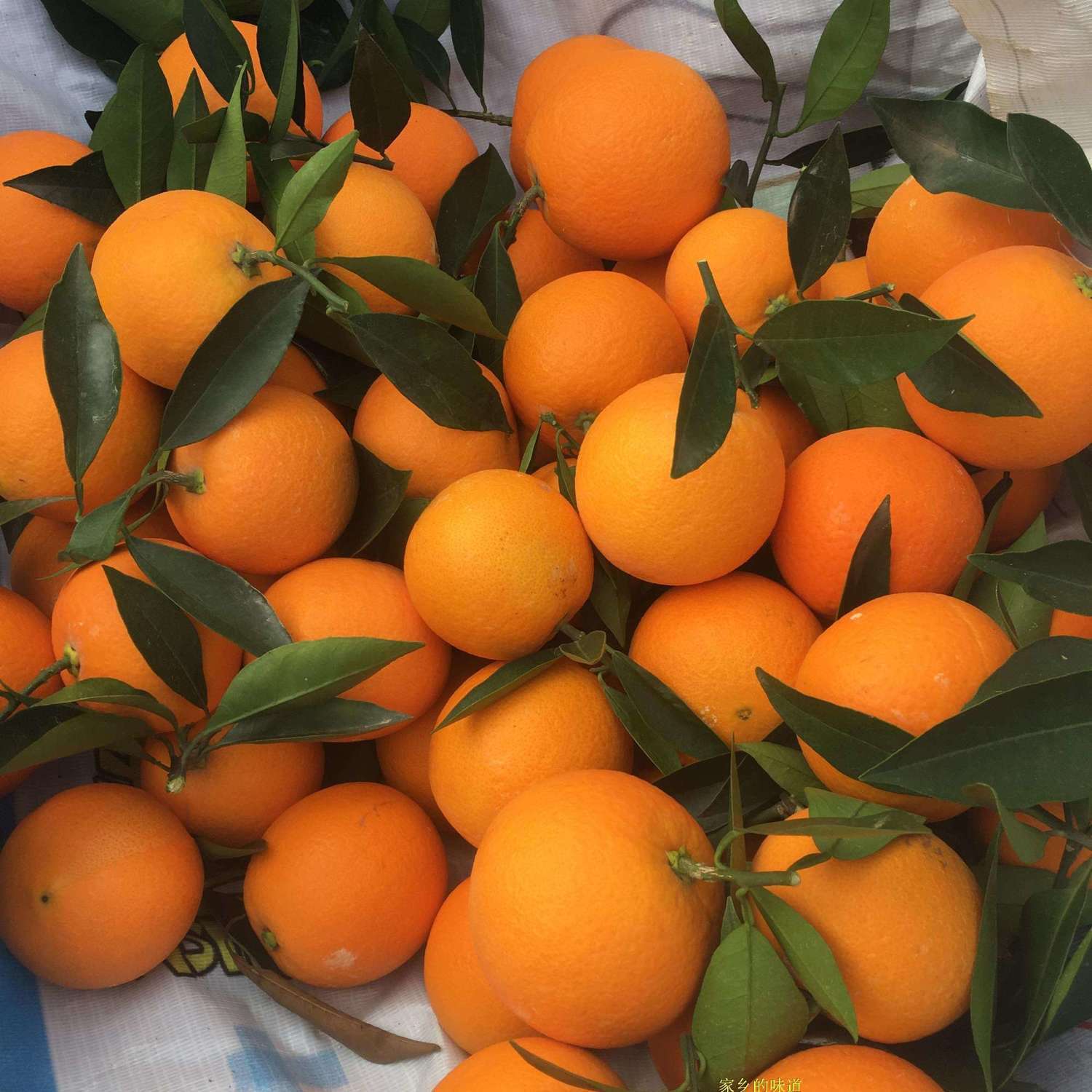 Navel oranges fresh oranges freshly picked fruits hand peeled rock sugar sweet orange jelly orange super large navel oranges whole box 9 pounds shipped 3