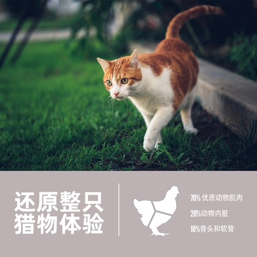 【官方旗舰】Orijen渴望原始猎食室内伴侣进口猫粮低脂减肥1.8kg - 图2
