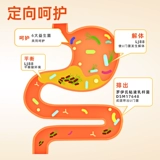 Кангбура питает желудок и желудочный пробиотики, взрослые, желудочно -кишечные неконтролирующие дети и пожилые преимущества пищеварительного пищеварения в кишечнике.