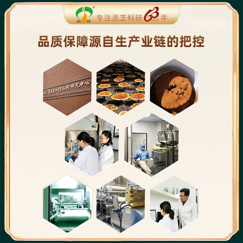 上海农科院尚绿猴头菇精粉健康调理养胃营养食品上班族 - 图3