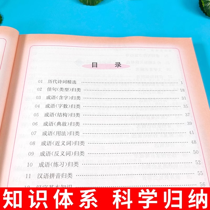 语文重点知识集锦升级版安徽专用附安徽人文地理小学语文知识大全一二三四五六年级上下册小升初系统总复习知识大集结同步训练 - 图0