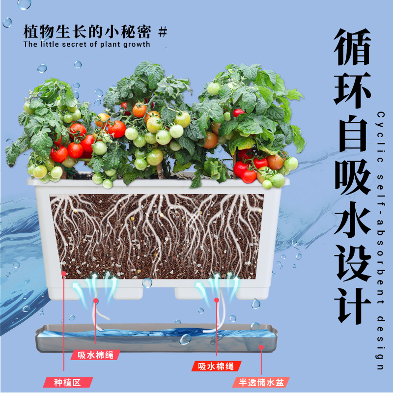 第二代加深西瓜阳台专用种菜盆霍伦盆家用豆角盆加厚长方形种植箱 - 图2