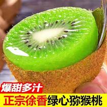 Shaanxi Week to When Season Fruit Xu Fragrant Kiwi Fruits Fresh And Sweet Chic Exotic Fruits When Season Fruits Green Heart 1-8 Kilos