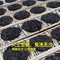 Head Water Purple Dried Goods Deep Seaweed Sunning Free of Schalet WuNanao Purple Vegetable Egg Flower Soup Hotpot ingredients Teatro