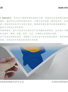 小众艺术家波谱风收藏级高级画芯