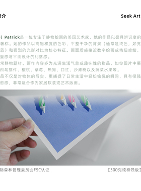 小众艺术家波谱风收藏级高级画芯