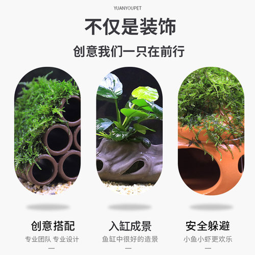 鱼缸懒人真植物鱼虾躲避罐虾屋小摆件小鱼繁殖躲避屋莫斯水草造景 - 图2