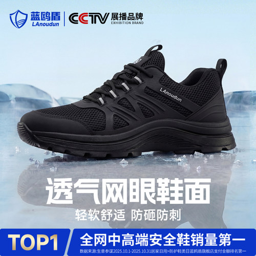 蓝鸥盾劳保鞋防静电中国石化加油站专用轻便夏季透气轻便耐磨工作 - 图2