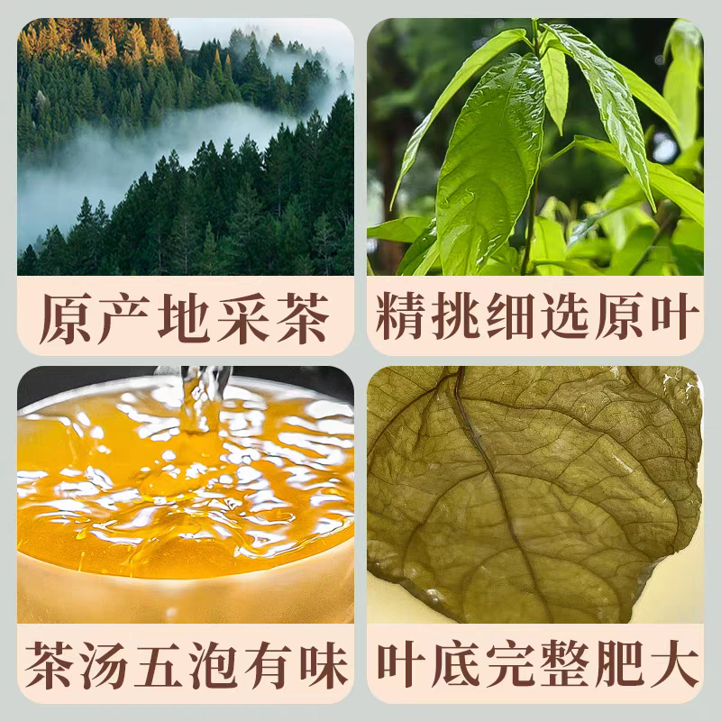 海南万宁东山岭野生鹧鸪茶老爸茶五月茶海南凉茶特产鹧鸪茶球,淘宝优惠券,粉丝福利购,淘宝优惠卷