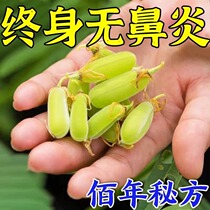 Allergic Rhinitis Rhinosinusitis Special Effect Medicine Goose without Grass Rhinoceritosis Nasal gas Metallurgical Root God Instrumental Traditional Chinese Medicine Patch Q