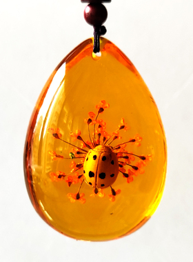 天然昆虫琥珀标本树脂饰品