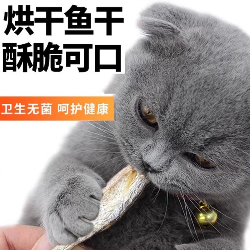 小鱼干小河鱼猫咪零食宠物冻干多春鱼无盐增肥发腮猫粮营养磨牙棒,淘宝优惠券,粉丝福利购,淘宝优惠卷