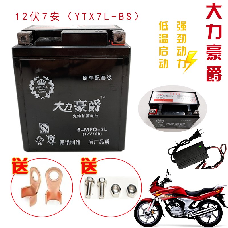 适用豪爵迪爽HJ150-9机车电瓶DF150 DR160S DR150S NK150蓄电池 - 图1