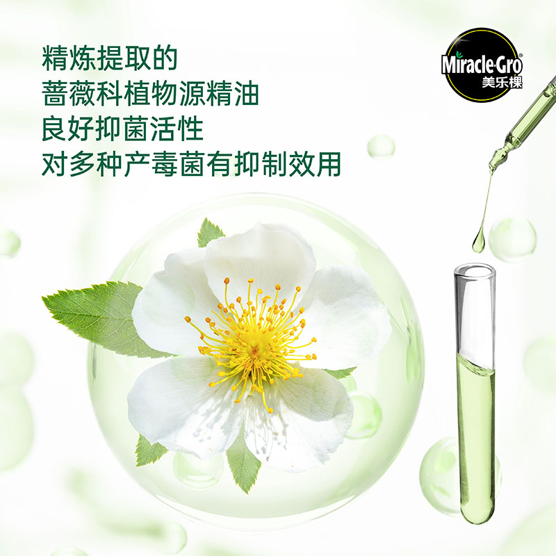 美乐棵植物精油防护剂家用园艺无毒防虫驱虫通用型养花花卉专用 - 图2