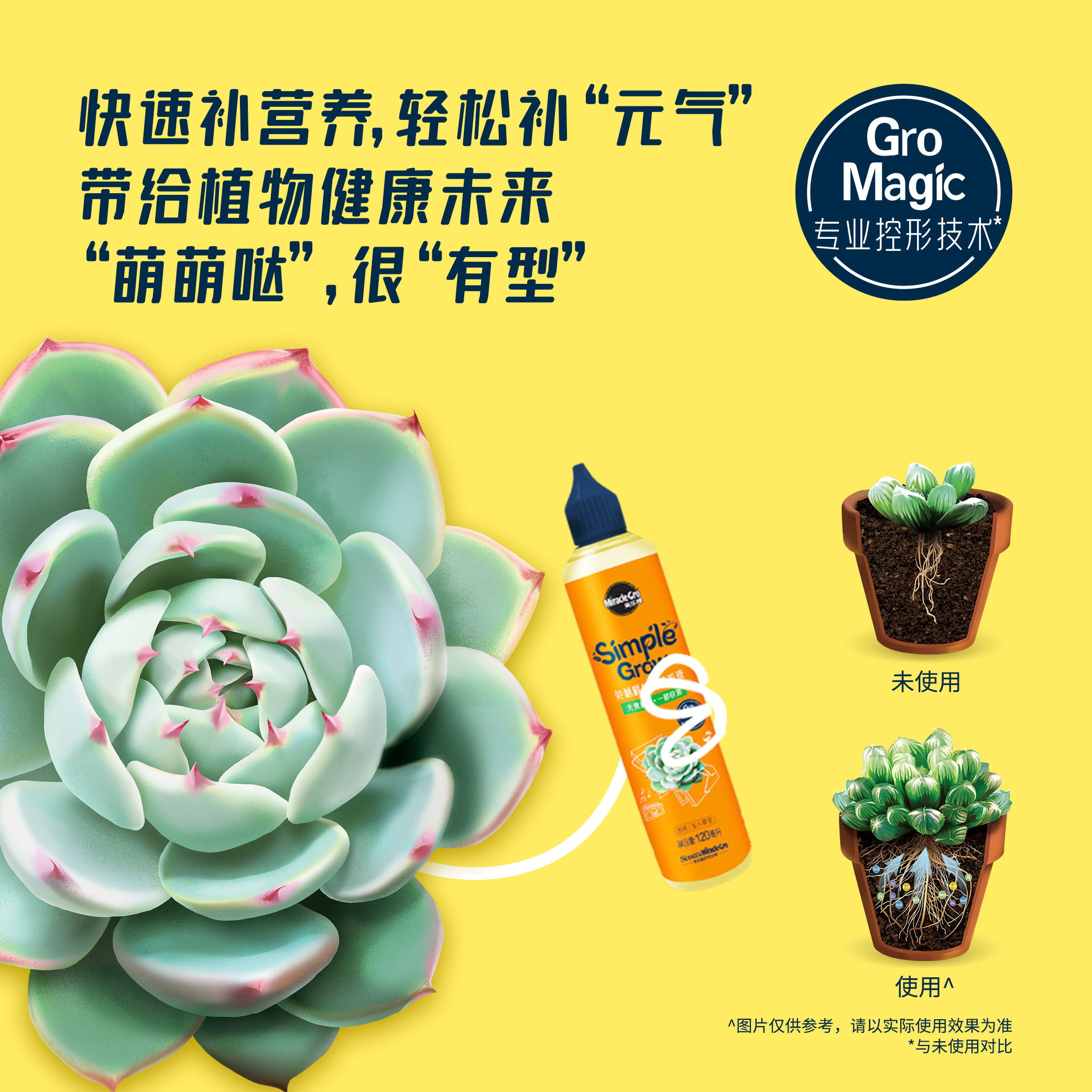 美乐棵多肉老桩仙人掌仙人球专用型植物免稀释盆栽肥料营养液花肥,淘宝优惠券,粉丝福利购,淘宝优惠卷