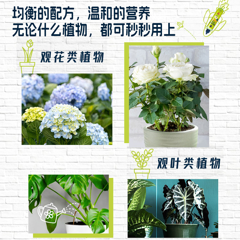 美乐棵免稀释盆栽肥料小绿瓶绿萝发财树专用营养液植物花卉肥料,淘宝优惠券,粉丝福利购,淘宝优惠卷
