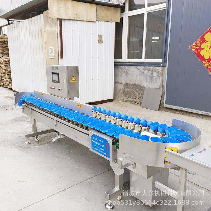 猕猴桃全自动重量分选机 鸡爪龙虾称重分级机 土豆洋葱拣重分拣机,淘宝优惠券,粉丝福利购,淘宝优惠卷