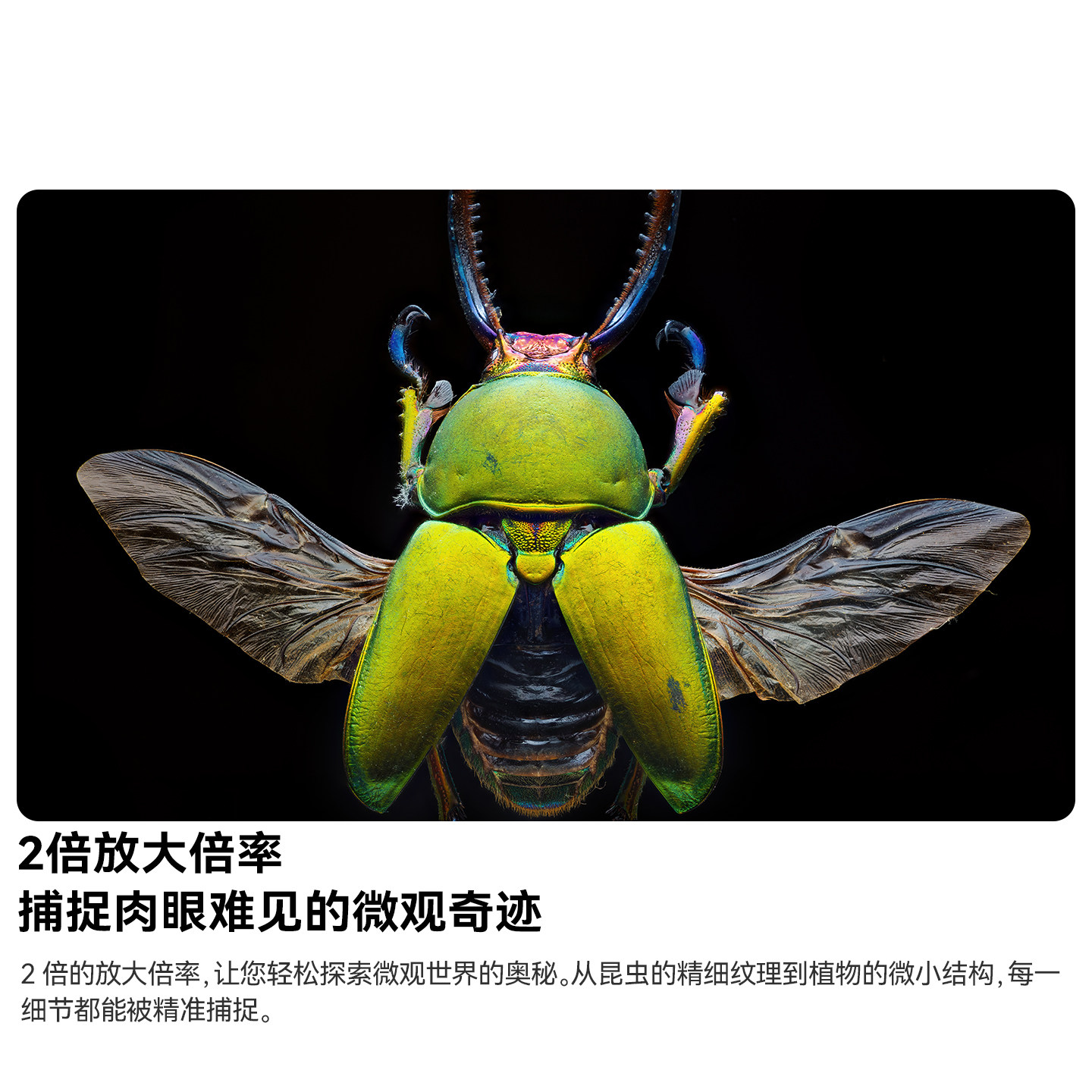 Mingjiang 100mmF2.8 full-frame macro lens