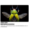 Mingjiang 100mmF2.8 full-frame macro lens