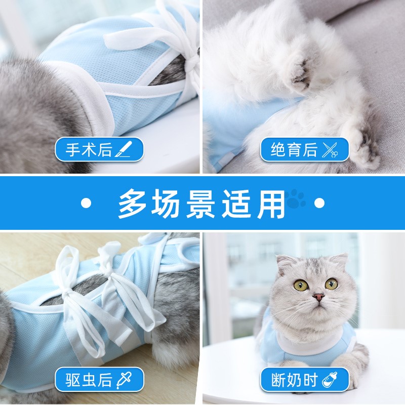 猫咪手术服母猫绝育衣服包肚衣断奶公猫防舔术后猫猫绝育服防护服 - 图2