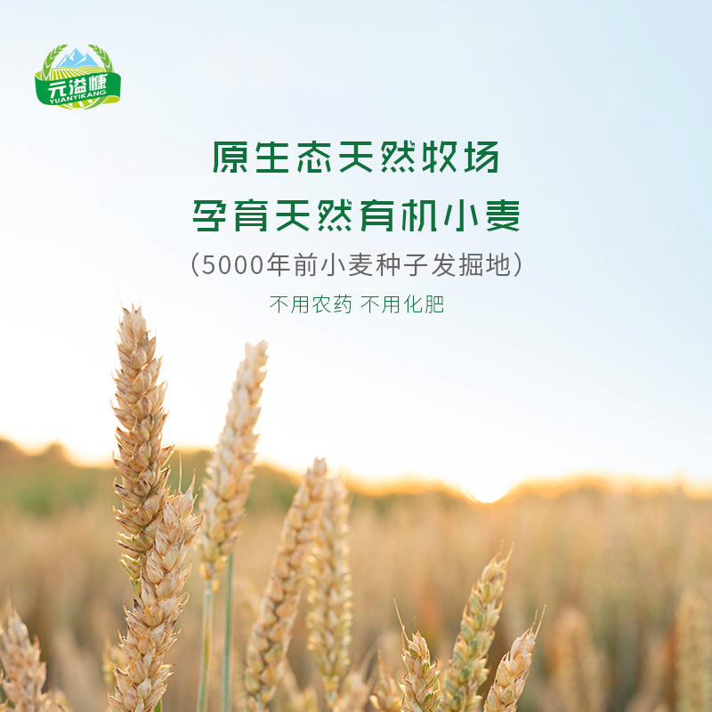 Yuan Yikang organic noodles without additives from Xinjiang