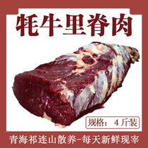 4 Catty Yak Ridge Meat Qinghai Qilian Mountain Scattered Fresh and Freshly Slaughtered Vacuum Packing Airlift